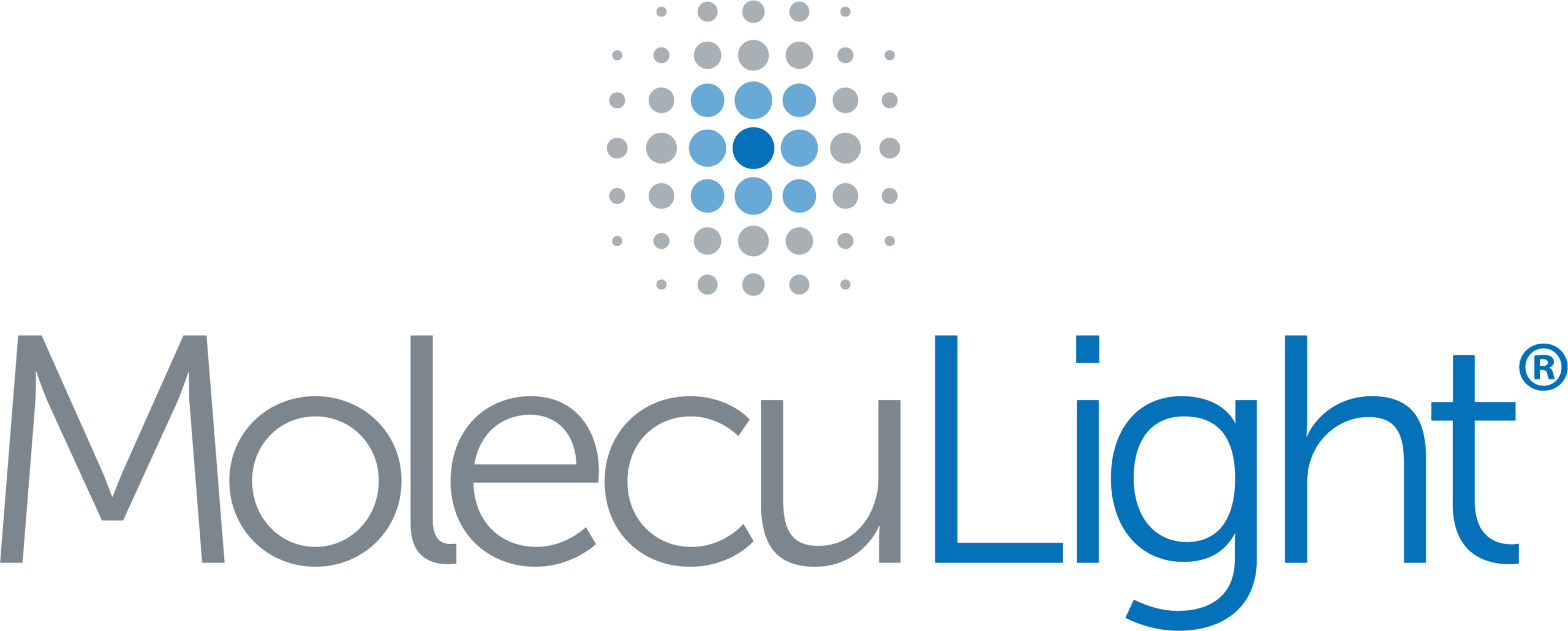 Logo MolecuLight