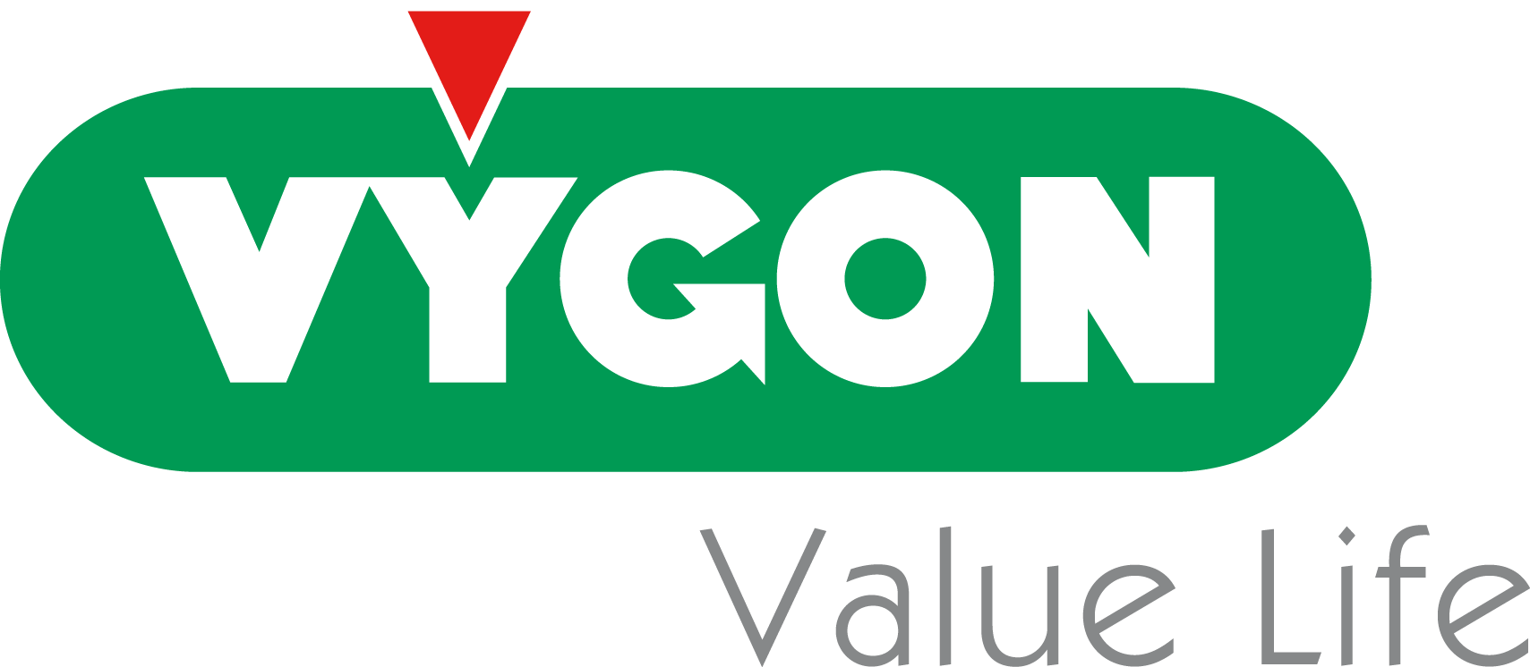 Logo Vygon Italia